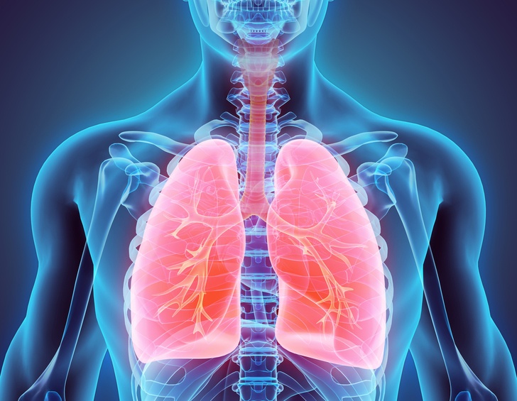 lungs